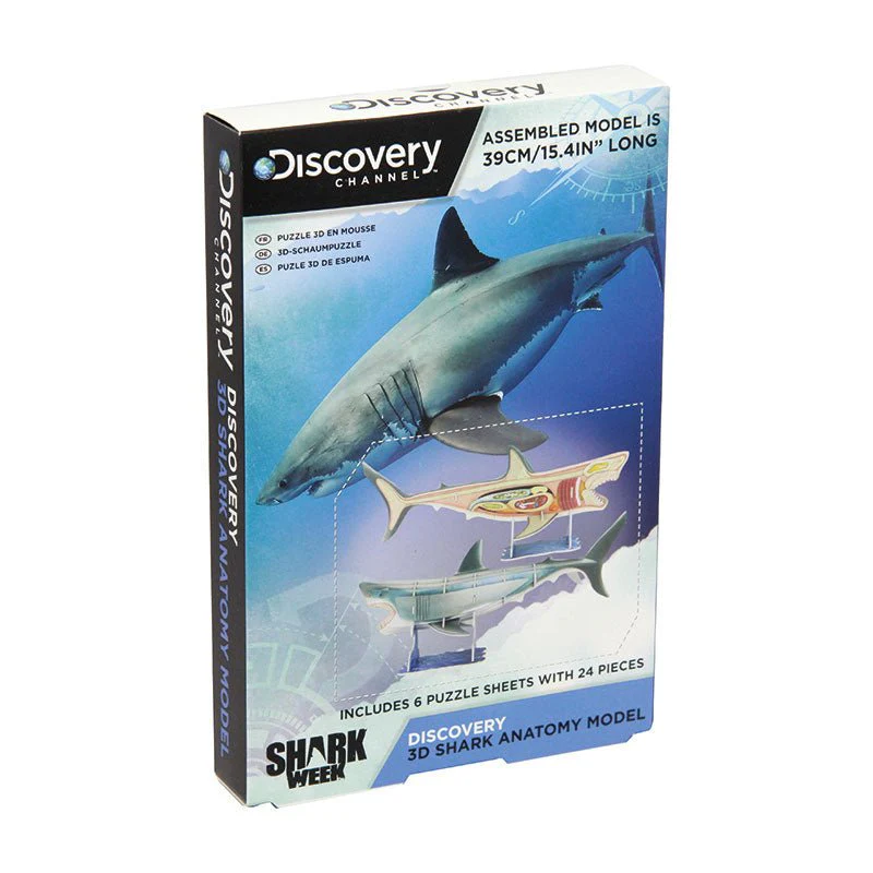 3D Shark Anatomy Construction Model - Image 2