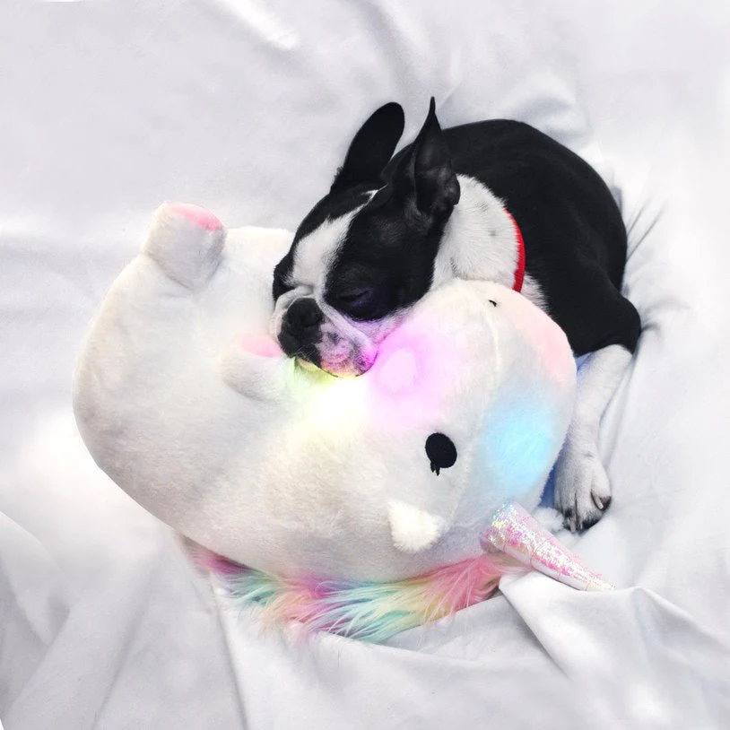 Chubby Light-Up Unicorn - Image 2