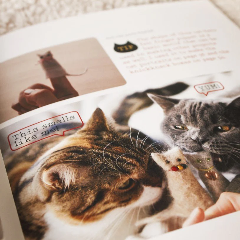 Crafting With Cat Hair - Image 3