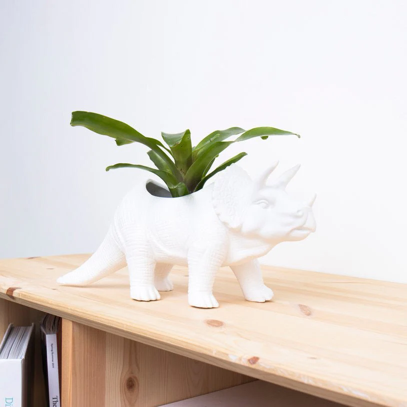 Dinosaur Planters - Image 5