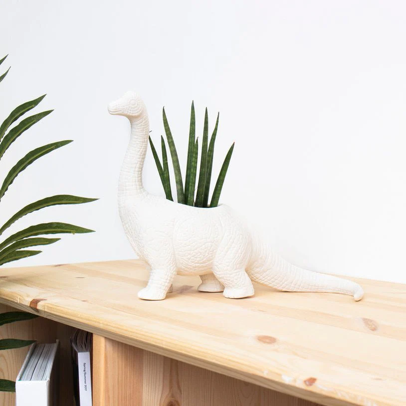 Dinosaur Planters - Image 7