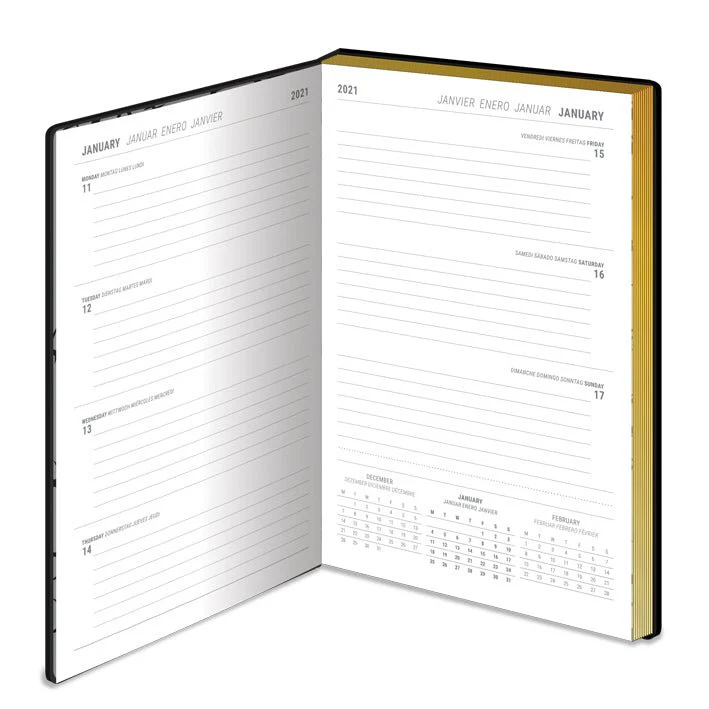 Disney Villains Premium 2021 Diary - Image 3
