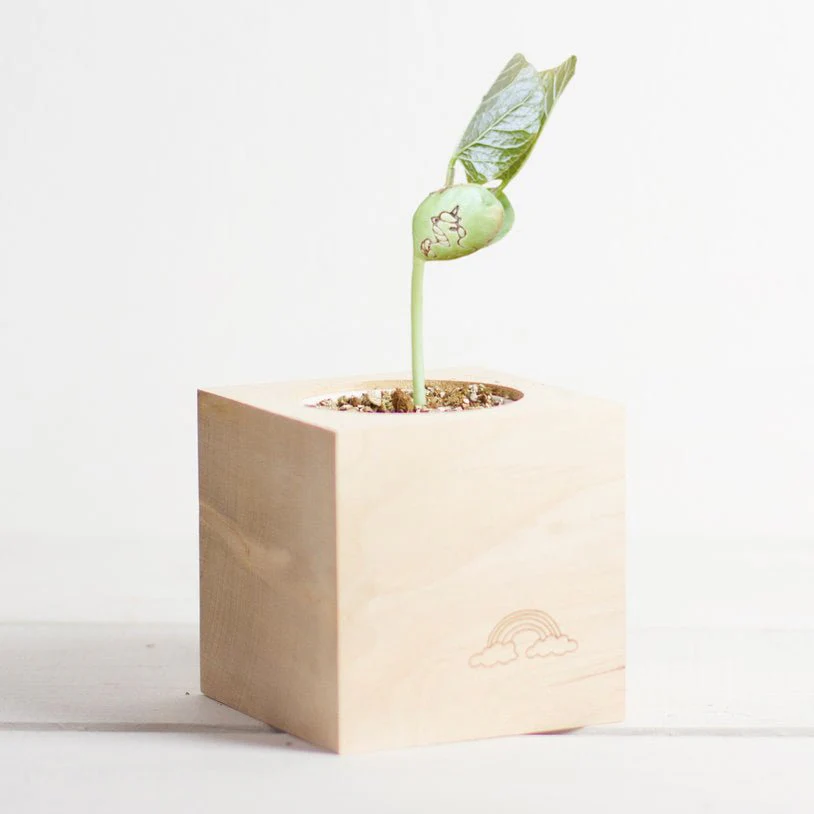 Grow Your Own Unicorn - Image 4