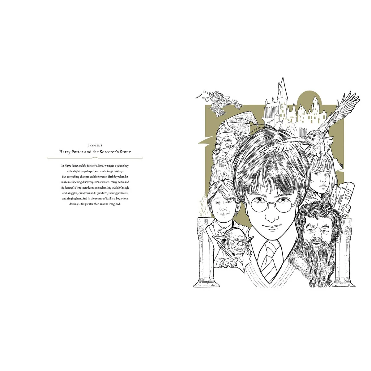 Harry Potter: A Cinematic Gallery - 80 Original Images to Colour and Inspire - Image 2
