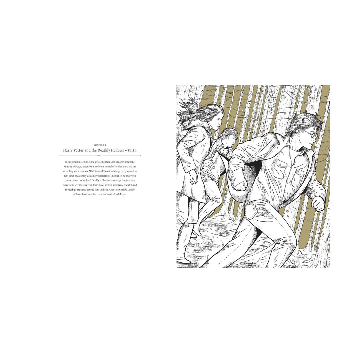 Harry Potter: A Cinematic Gallery - 80 Original Images to Colour and Inspire - Image 4