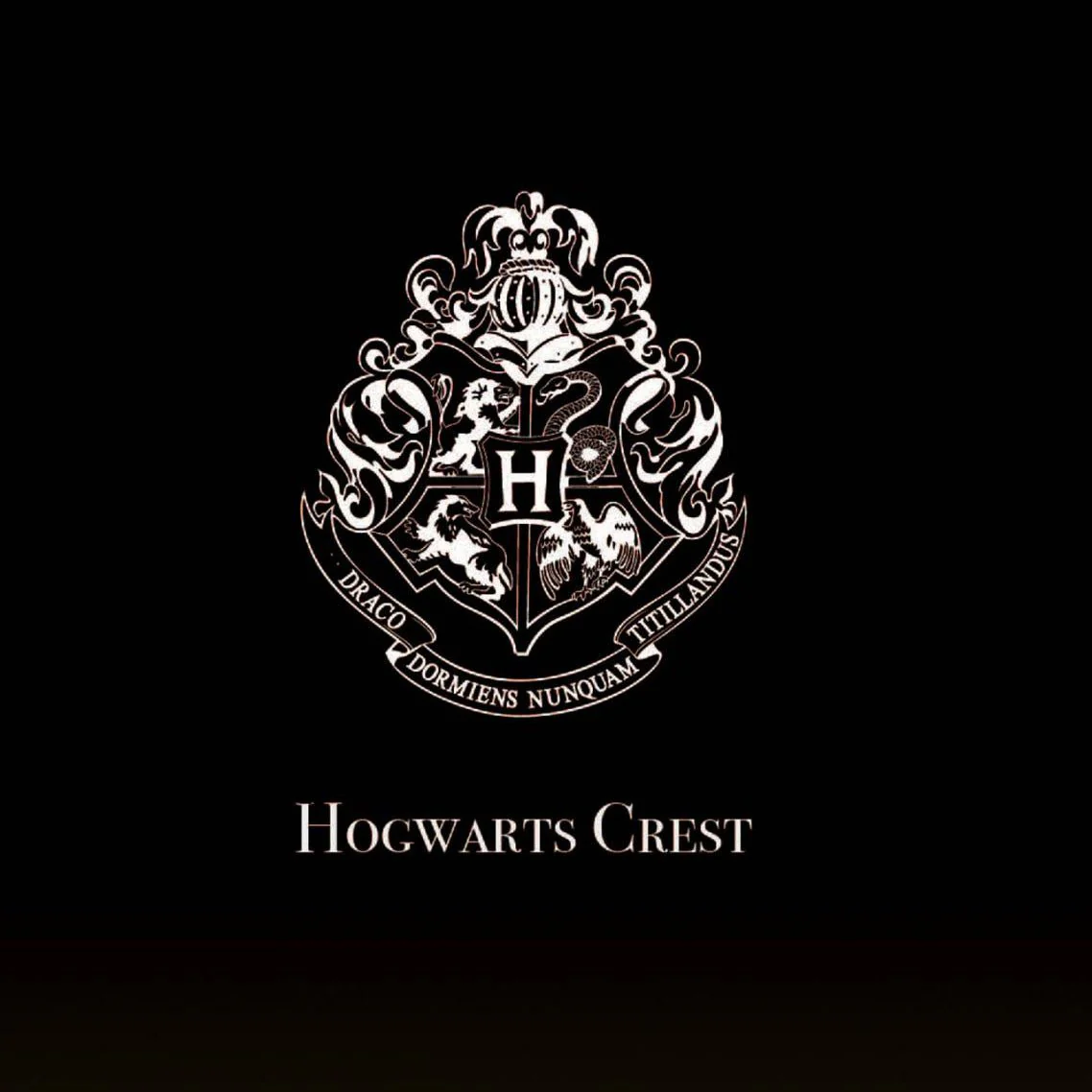 Harry Potter Projector Light - Image 4