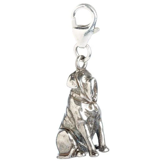 Harry Potter Sterling Silver Charms - Image 7
