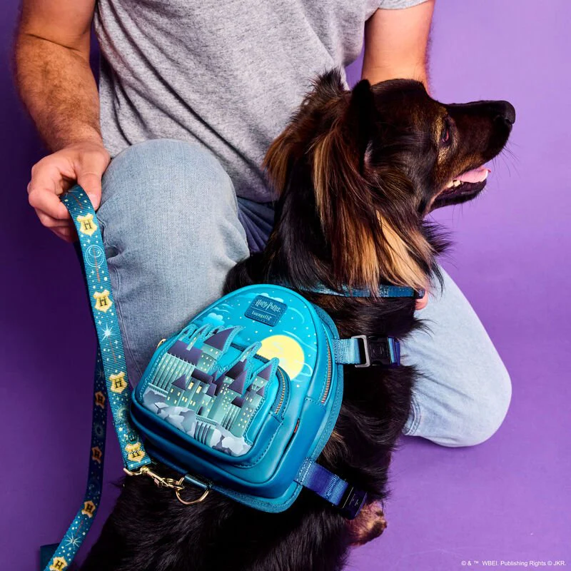 Loungefly x Harry Potter Hogwarts Pet Leash - Image 2