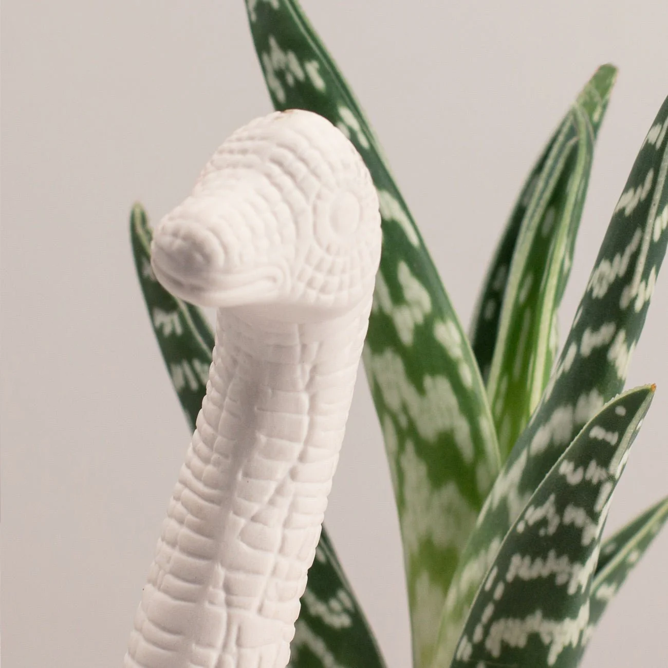 Plantosaurus - Image 2