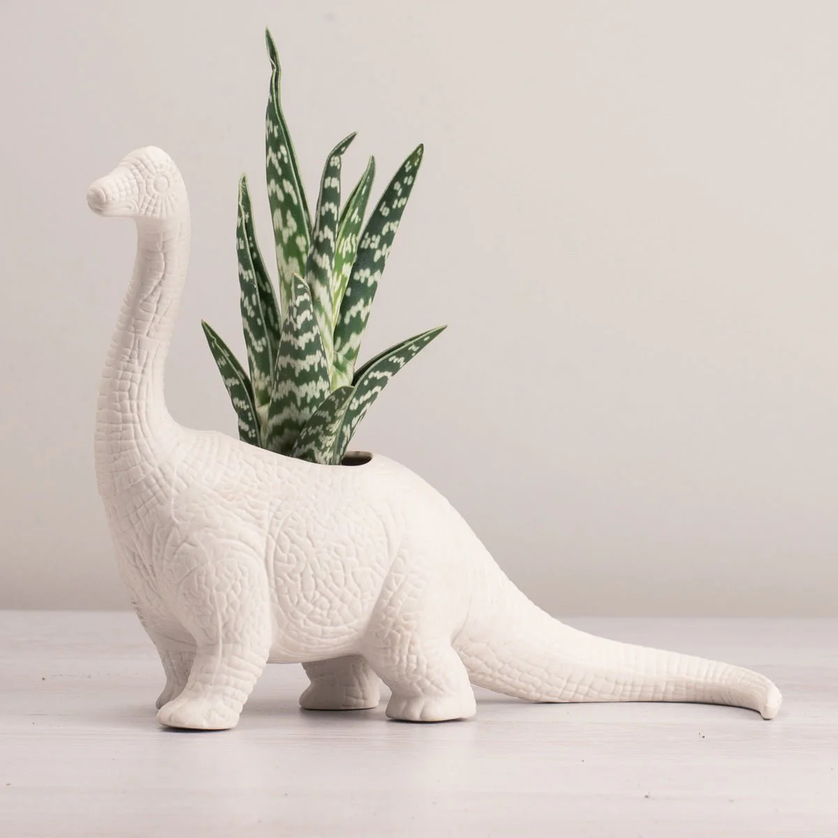 Plantosaurus - Image 3