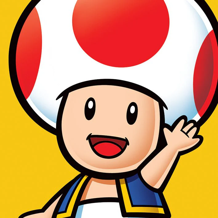 Super Mario Brothers Canvas Art - Image 8
