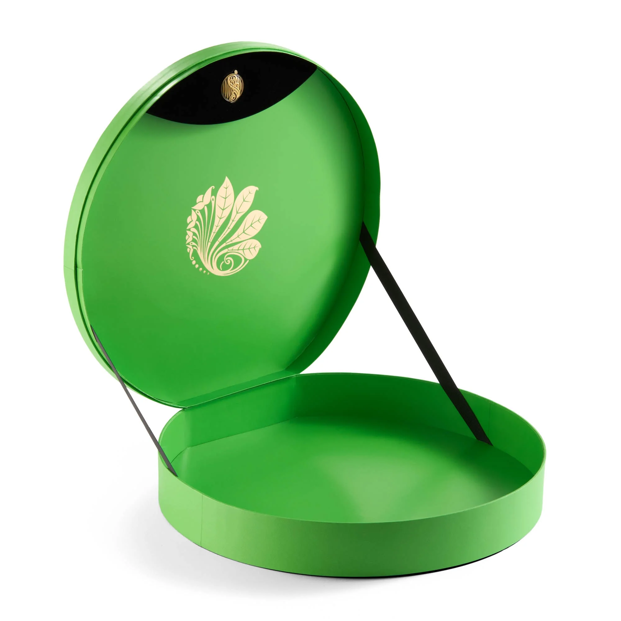 Wicked Elphaba's Hat Adult Collectors Edition - Image 6
