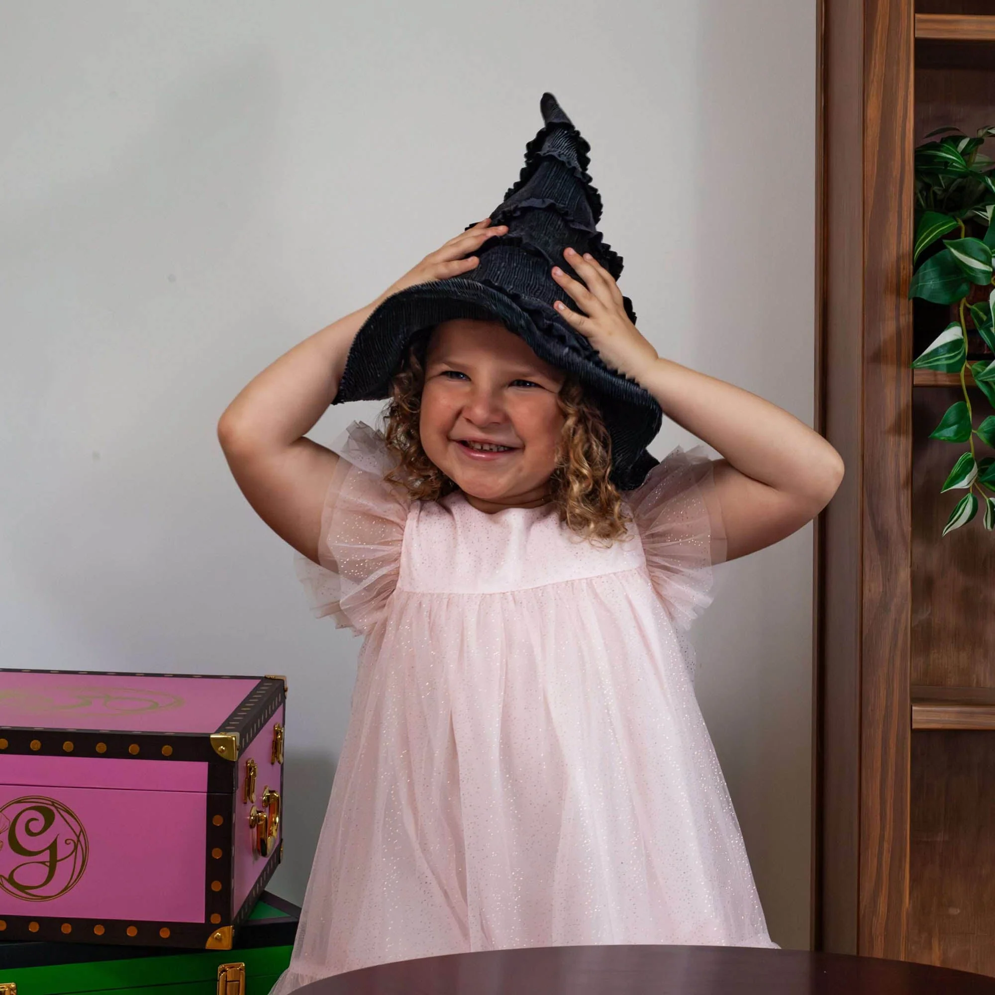 Wicked Elphaba's Hat Roleplay Edition - Image 5