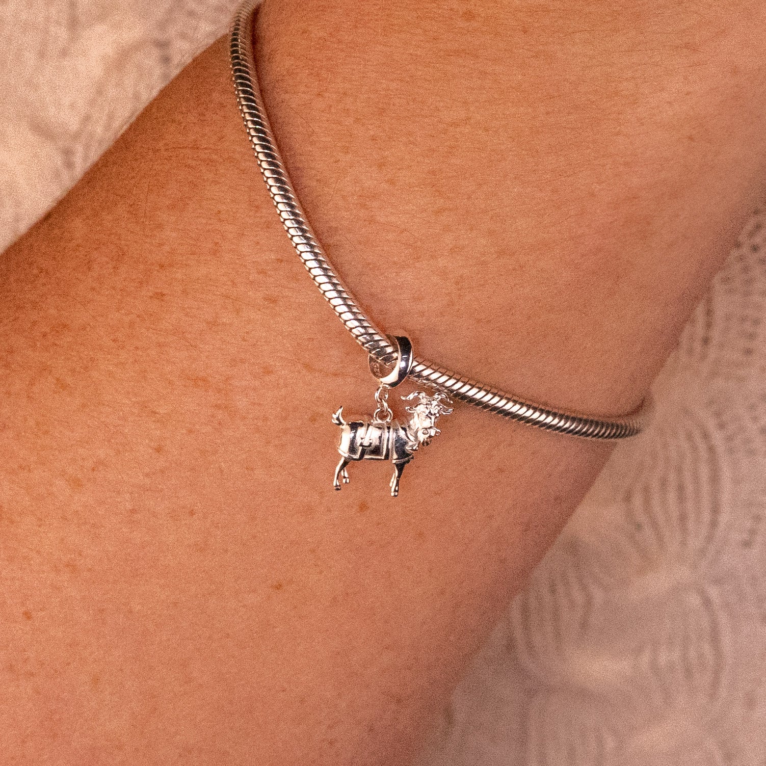 Wicked: For Good Doctor Dillamond Sterling Silver Slider Charm - Image 2